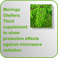 Moringa Oleifera: Third supplement to show protective effects against microwave radiation
