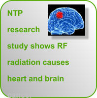 NTP research study shows RF radiation causes heart and brain cancer